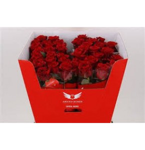 ΤΡΙΑΝΤΑΦΥΛΛΑ ΚΟΚΚΙΝΑ 60εκ. ROSEN RED EAGLE 
